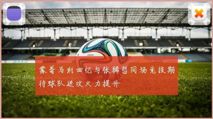 蒙哥马利回忆与张稀哲同场竞技期待球队进攻火力提升