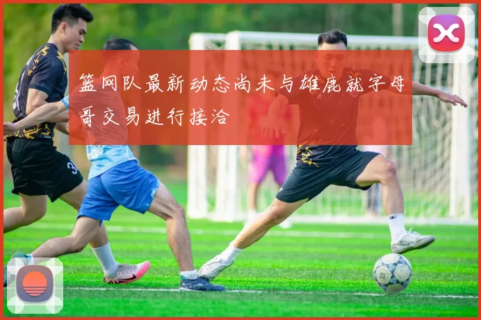 篮网队最新动态尚未与雄鹿就字母哥交易进行接洽